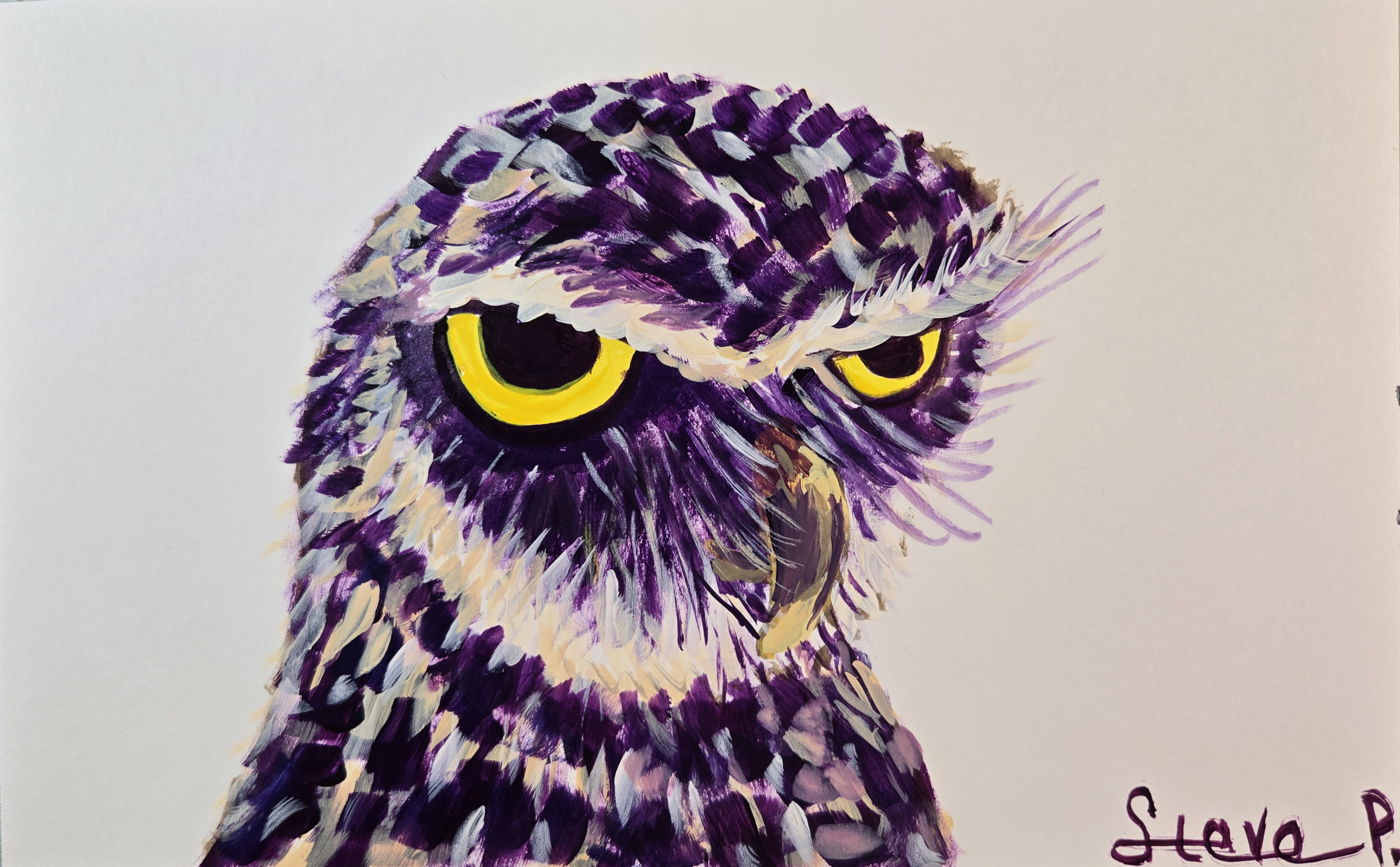 Owl painting by Steve Peterson